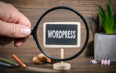 Why you should invest in a professionally designed WordPress website
