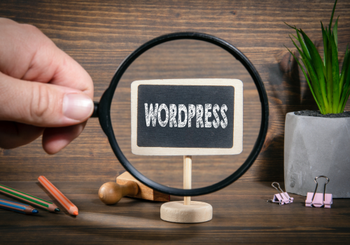 Why you should invest in a professionally designed WordPress website